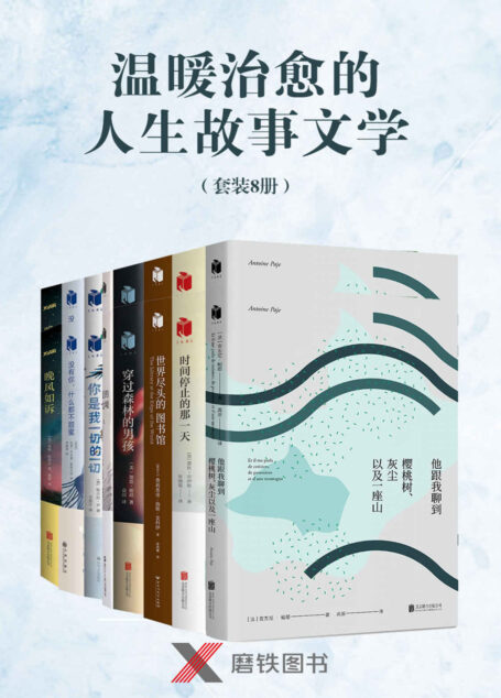 温暖治愈的人生故事文学（套装8册）（连续盘踞《纽约时报》畅销书排行榜53周《你是我一切的一切》、《一个人的朝圣》作者蕾秋•乔伊斯最新力作横扫各大榜单的《时间停止的那一天》、伯恩斯坦奖等10项大奖加冕《爱的边境》等！带你体味人生感动人性！）