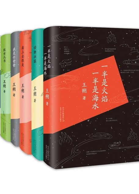 王朔精品合集