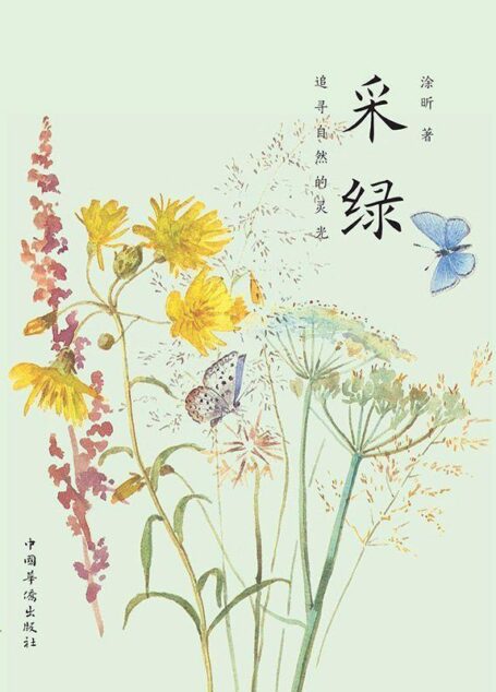采绿