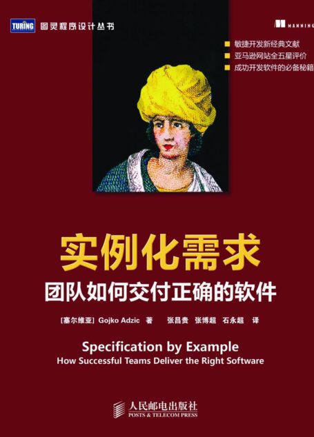 实例化需求：团队如何交付正确的软件 (图灵程序设计丛书 39)