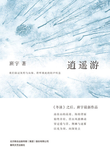 逍遥游（《冬泳》之后，班宇蕞新作品，书写被生活缓慢消耗的我们，那些真实的困顿与挣扎，穿过爱与苦，荆棘与烟雾，以光为羽，向深处去 理想国出品）