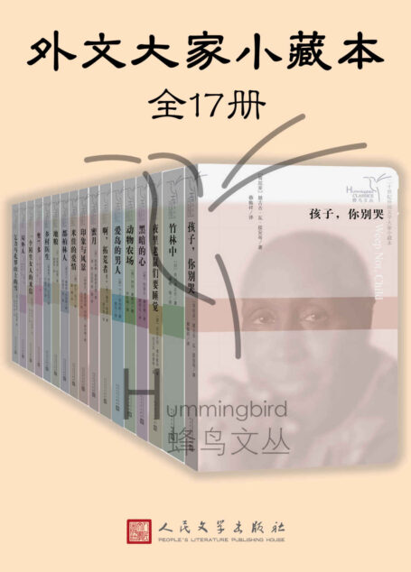 外文大家小藏本:全17册(收录百年间的重要外国作家的短篇名作,国内资深翻译家心血译作,芥川龙之介、海明威、加缪,篇幅虽短,文学价值却不逊鸿篇巨制;蜂鸟文丛)