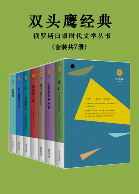 双头鹰俄苏经典文学套装7册（包含俄罗斯首位诺贝尔文学奖得主伊万·布宁作品《阿尔谢尼耶夫的一生》！备受鲁迅、高尔基等大师推崇的《南十字星共和国》，比肩普希金等经典大师的文学经典！） (双头鹰经典)