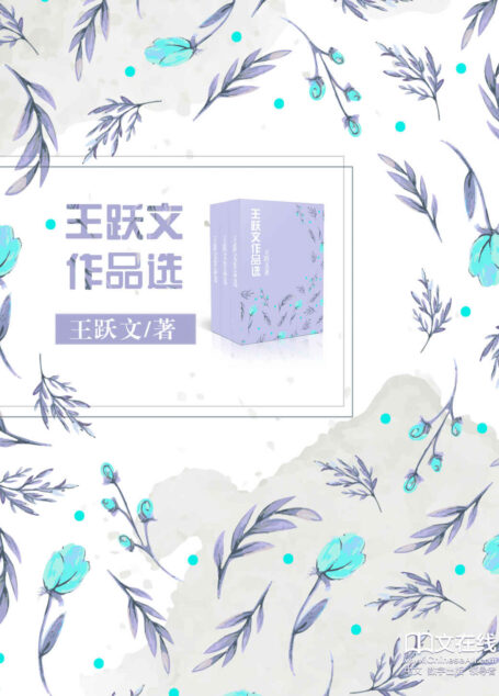 王跃文作品选 (套装 共20册）