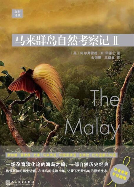 远行译丛:马来群岛自然考察记II(一场孕育演化论的海岛之旅,一部自然历史经典)