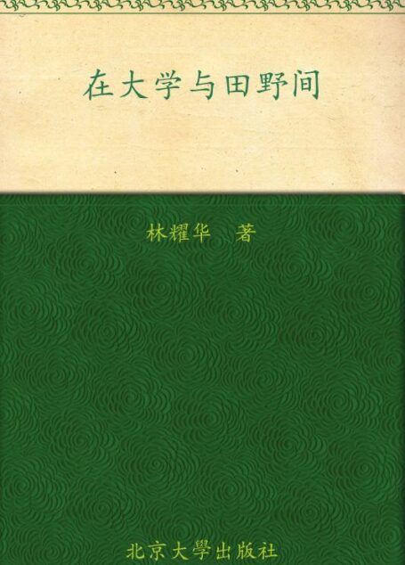 在大学与田野间 (大家自述史)