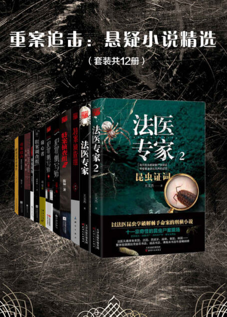 重案追击:悬疑小说精选(套装共12册)(神秘事件 惊天奇案 再度来袭!烧脑犯罪悬疑小说精品集)