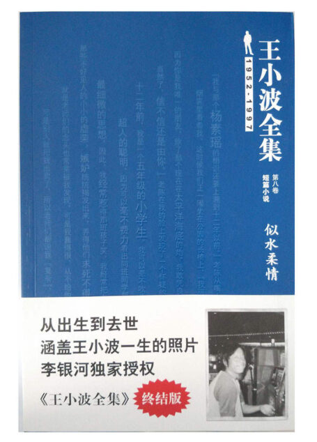 王小波全集(短篇小说)(第八卷):似水柔情(终结版)