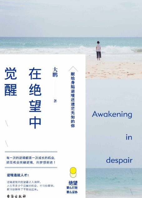 在绝望中觉醒 (挑战or舒适圈,打败or妥协?本书献给身陷逆境还迷茫无知的你!指引你摆脱困境,跳出舒适圈!)