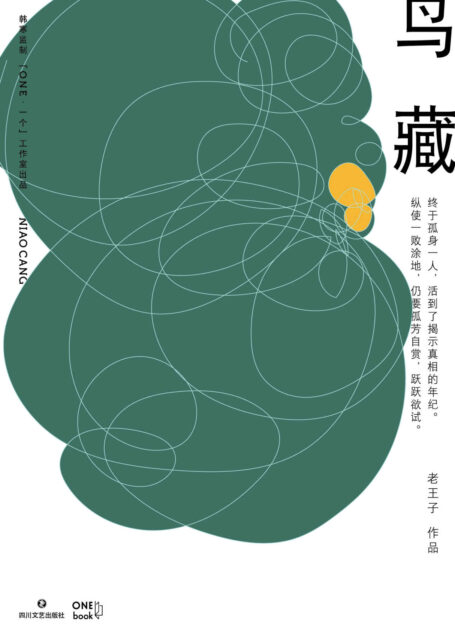 鸟藏(韩寒监制，「ONE·一个」金牌作者老王子全新短篇作品集，深刻描绘城市中产的困顿和荒诞)