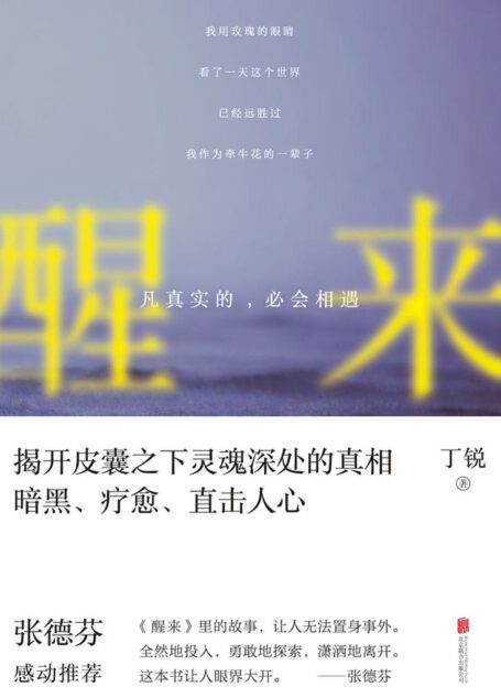 醒来：凡真实的，必会相遇（著名身心灵作家张德芬被其深深触动并作序推荐！）