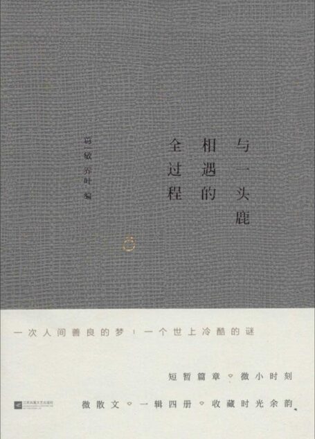 与一头鹿相遇的全过程 (微散文)