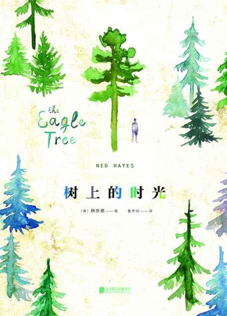 树上的时光