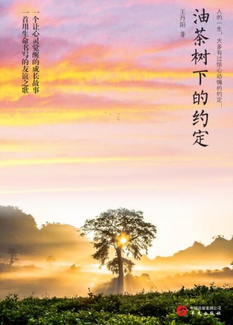 油茶树下的约定
