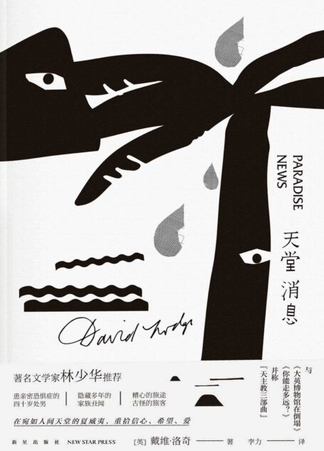 天堂消息(英国著名小说家戴维·洛奇“天主教三部曲”之一,著名文学家林少华推荐。)