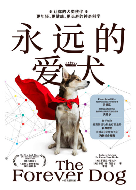 永远的爱犬(改变养狗习惯,延长狗狗寿命 ,养狗人群流行的狗狗续命指南)