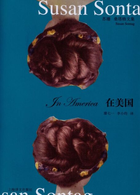 在美国 (苏珊·桑塔格文集)