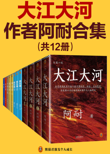 《大江大河》作者阿耐合集（共12册）