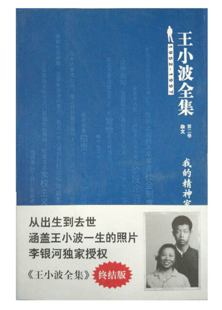 王小波全集(杂文)（第二卷）：我的精神家园(终结版)