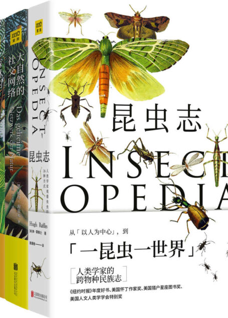 自然万物科普百科:昆虫志+大自然的社交网络+森林的奇妙旅行(套装共3册)