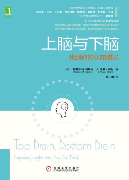 上脑与下脑:找到你的认知模式