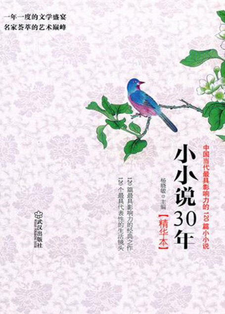 小小说30年精华本：中国当代最具影响力的120篇小小说（遴选近30年小小说作家不可不读的代表作，近代经典微阅读一网打尽！）