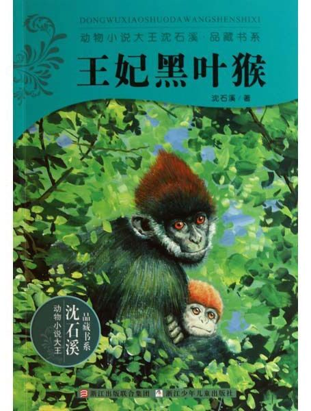 王妃黑叶猴 (动物小说大王沈石溪品藏书系)