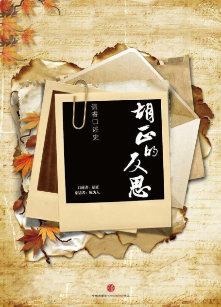 胡正的反思(中国故事)