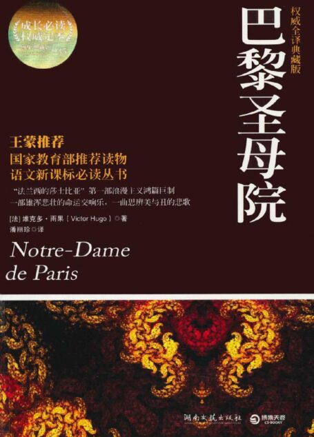 巴黎圣母院(权威全译典藏版) (成长必读系列 2)