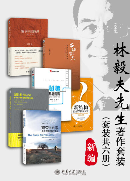 新编林毅夫先生著作套装（套装共六册）