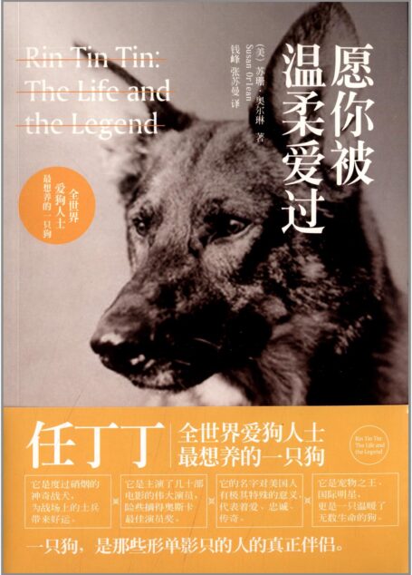 愿你被温柔爱过