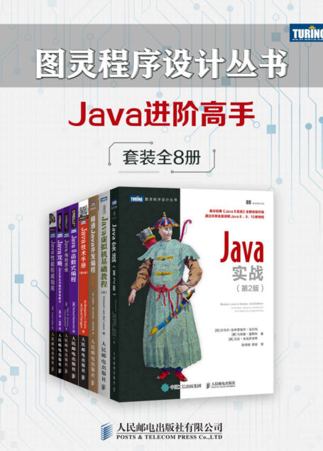 图灵程序设计丛书：Java进阶高手（套装共8册）