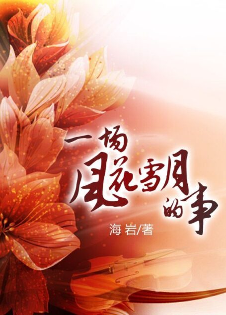 一场风花雪月的事 (海岩长篇经典(新版))