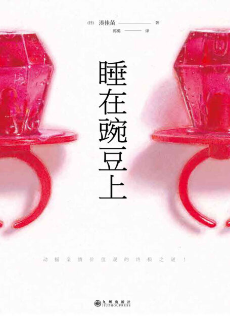 睡在豌豆上(日本超人气作家湊佳苗继《告白》《为了N》《少女》后全新悬疑力作!)