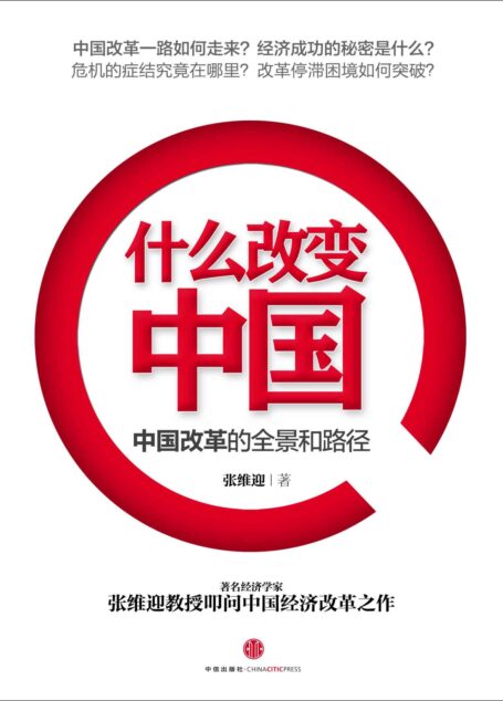 什么改变中国:中国改革的全景和路径