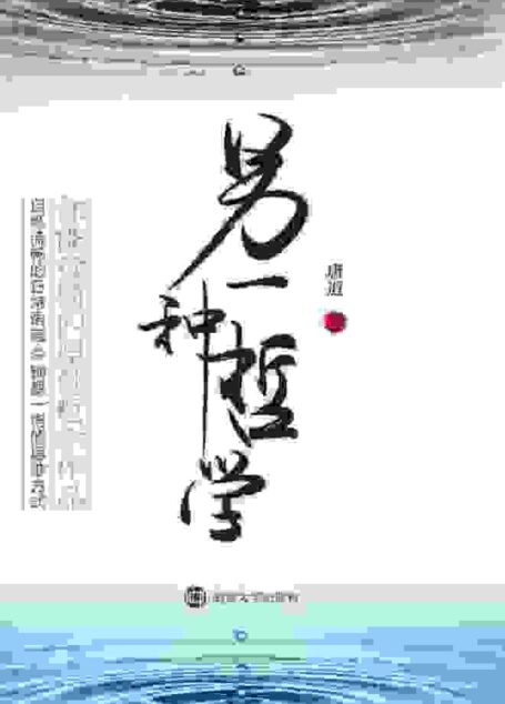 另一种哲学