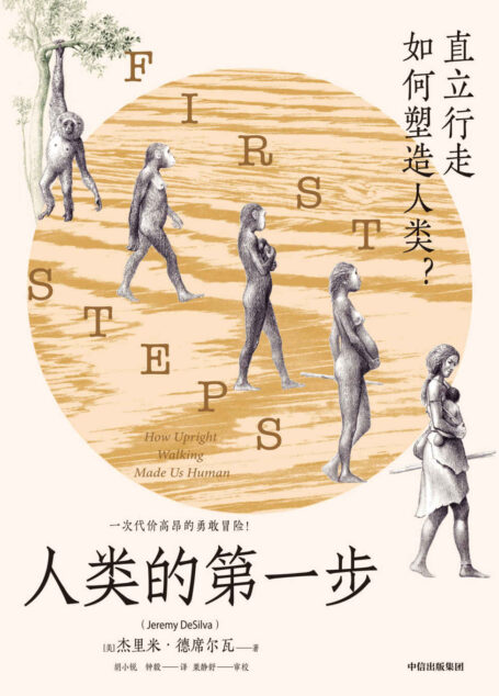 人类的第一步(你学到的人类进化示意图可能是错的!一场解剖结构的大变革,一次造就人类社会性的巨大挑战。认识直立行走,重新定义人类。)