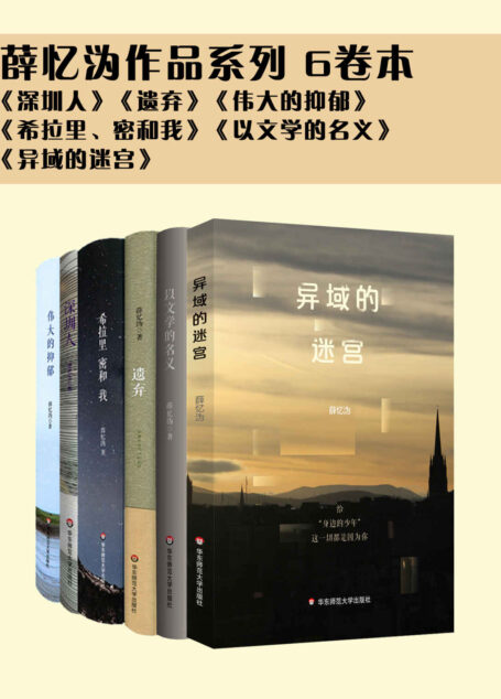 薛忆沩作品系列 6卷本（《深圳人》《遗弃》《伟大的抑郁》《希拉里、密和我》《以文学的名义》《异域的迷宫》