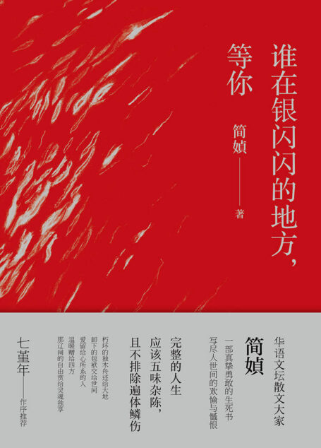 谁在银闪闪的地方,等你(作者华语文坛散文大家简媜,曾荣获台湾三大散文奖,两度成为金石堂年度作家风云人物)