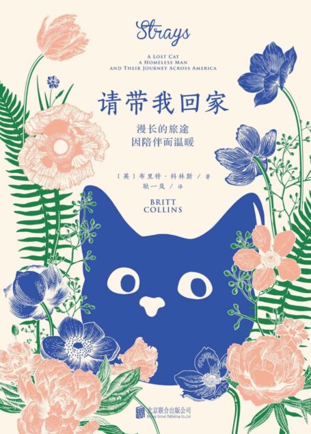 请带我回家（人与流浪猫之间最简单、最真实的情感与爱的治愈力量，爱猫之人不可错过的温情之作）