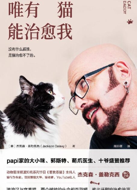 唯有猫能治愈我