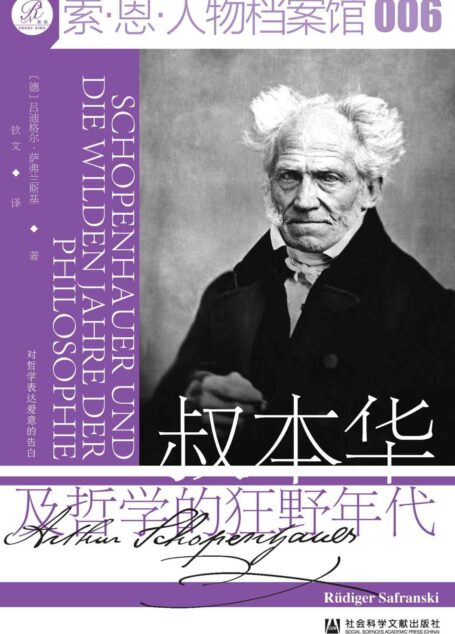 叔本华及哲学的狂野年代 (索恩系列)