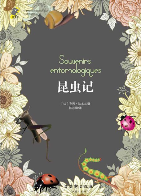 中小学经典阅读名家名译•无障碍名师导读:昆虫记