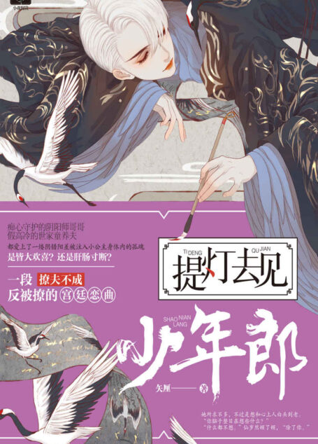 提灯去见少年郎(阴差阳错成为公主的孤魂VS一心想要悔婚的世家嫡子,一段撩夫不成反被撩的宫廷恋曲!)