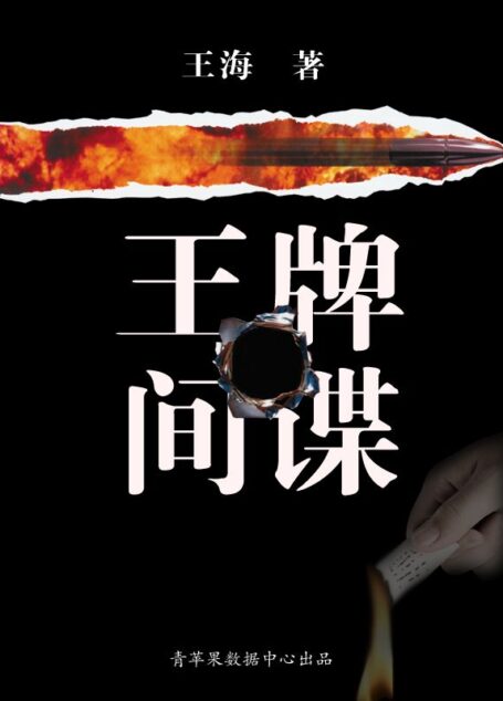 王牌间谍