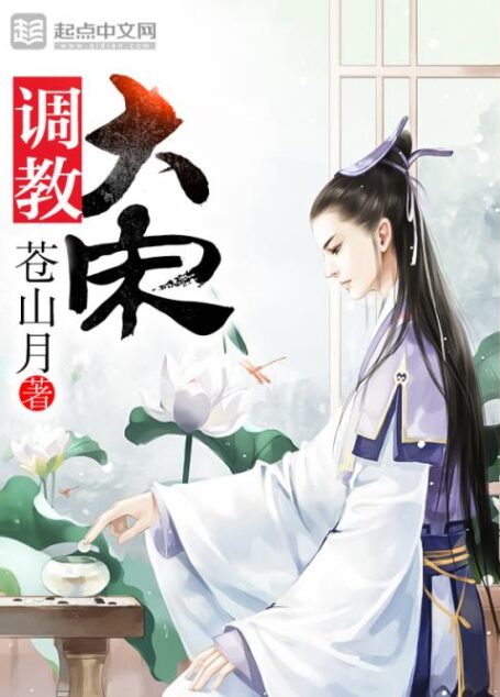 调教大宋