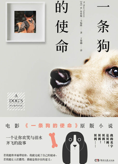 一条狗的使命