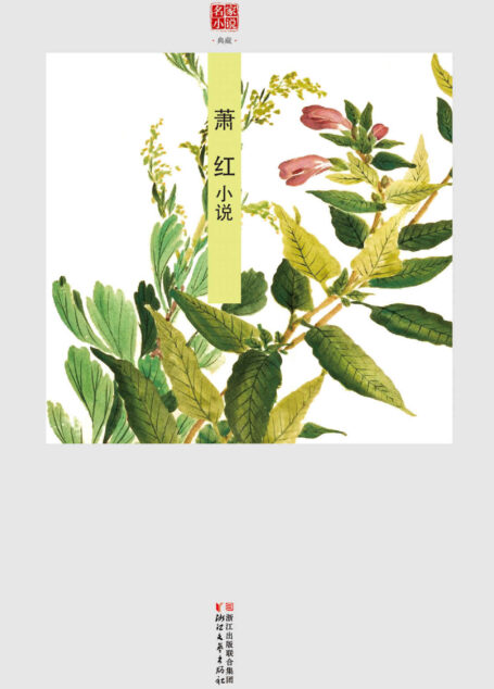 萧红小说 （精选21部中短篇代表作，呈现文学经典盛宴，展现黑土地上荒凉又极富生命力的动人画卷，在悲凉中找寻温暖于沧桑处拾取感动） (名家小说典藏)