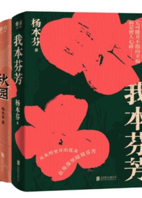 杨本芬女性三部曲(杨本芬“看见女性三重奏”,呈现大时代里小人物的命运与心灵)