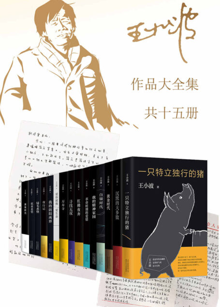 王小波作品大全集(15册)(李银河老师亲自亲自校勘全稿,影响几代年轻人的文学经典,无与伦比的文学!好的纪念就是再读一遍王小波)